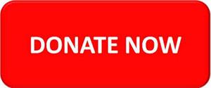 Donate Now to SBSF 
